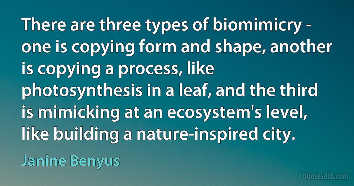 There are three types of biomimicry - one is copying form and shape, another is copying a process, like photosynthesis in a leaf, and the third is mimicking at an ecosystem's level, like building a nature-inspired city. (Janine Benyus)