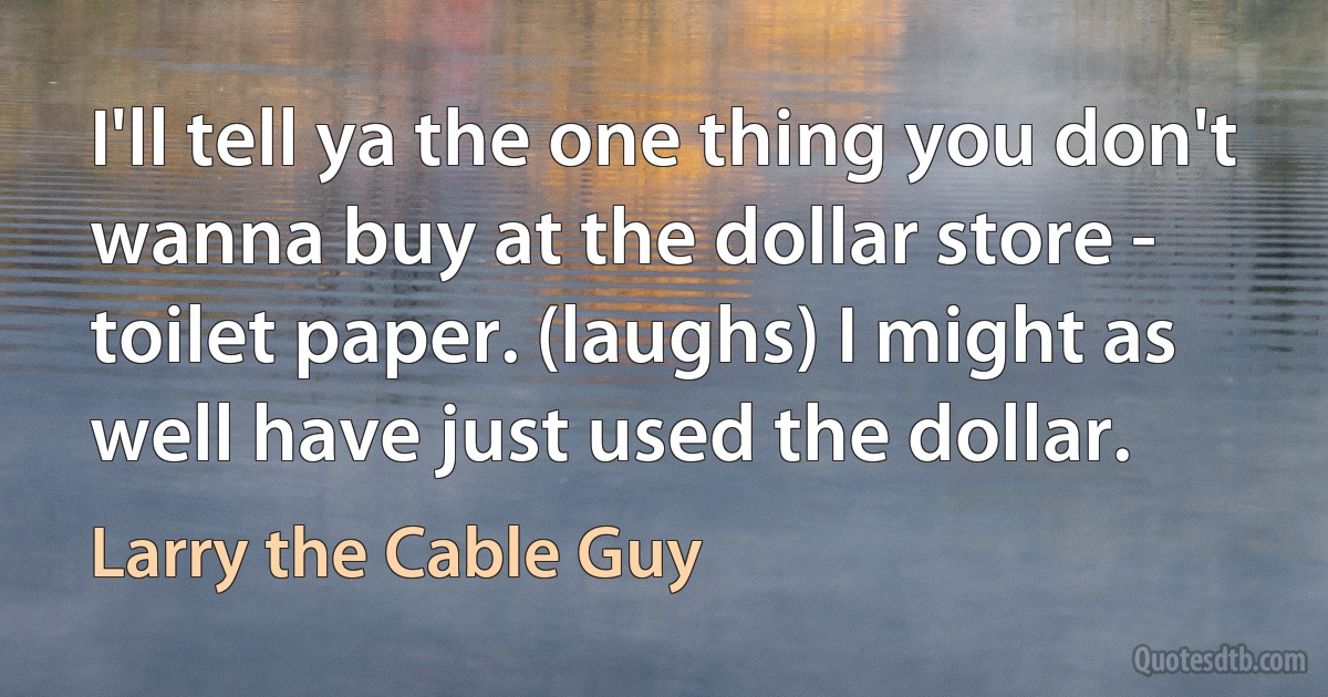 I'll tell ya the one thing you don't wanna buy at the dollar store - toilet paper. (laughs) I might as well have just used the dollar. (Larry the Cable Guy)