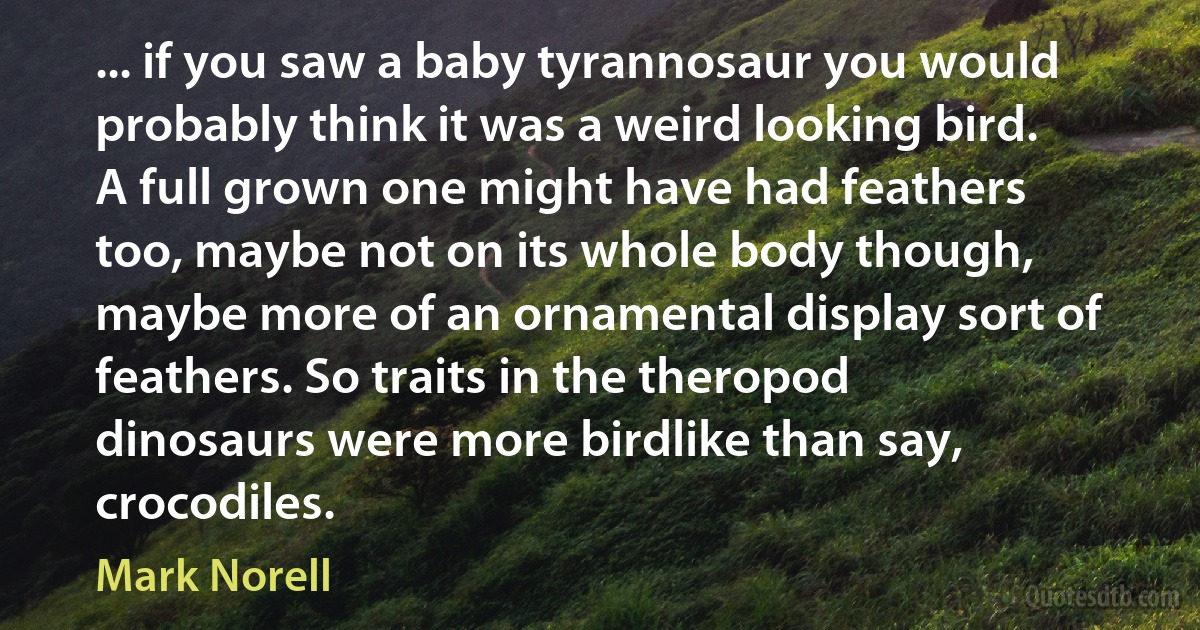 ... if you saw a baby tyrannosaur you would probably think it was a weird looking bird. A full grown one might have had feathers too, maybe not on its whole body though, maybe more of an ornamental display sort of feathers. So traits in the theropod dinosaurs were more birdlike than say, crocodiles. (Mark Norell)