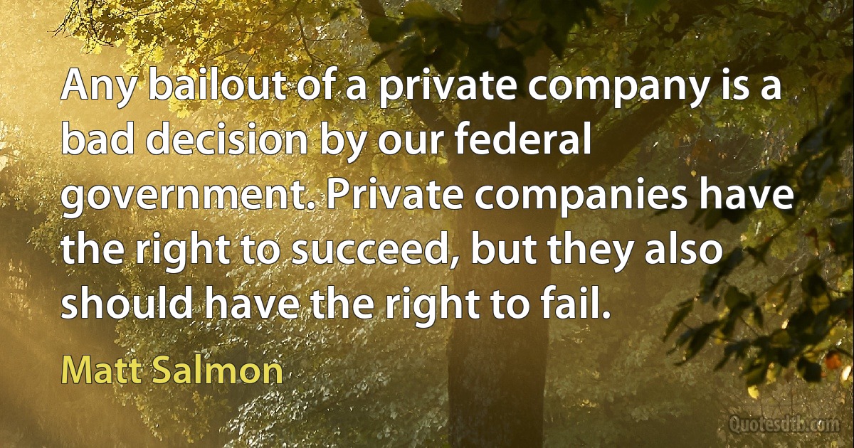 Any bailout of a private company is a bad decision by our federal government. Private companies have the right to succeed, but they also should have the right to fail. (Matt Salmon)