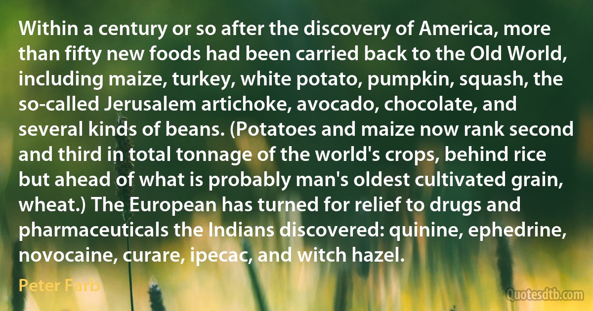 Within a century or so after the discovery of America, more than fifty new foods had been carried back to the Old World, including maize, turkey, white potato, pumpkin, squash, the so-called Jerusalem artichoke, avocado, chocolate, and several kinds of beans. (Potatoes and maize now rank second and third in total tonnage of the world's crops, behind rice but ahead of what is probably man's oldest cultivated grain, wheat.) The European has turned for relief to drugs and pharmaceuticals the Indians discovered: quinine, ephedrine, novocaine, curare, ipecac, and witch hazel. (Peter Farb)