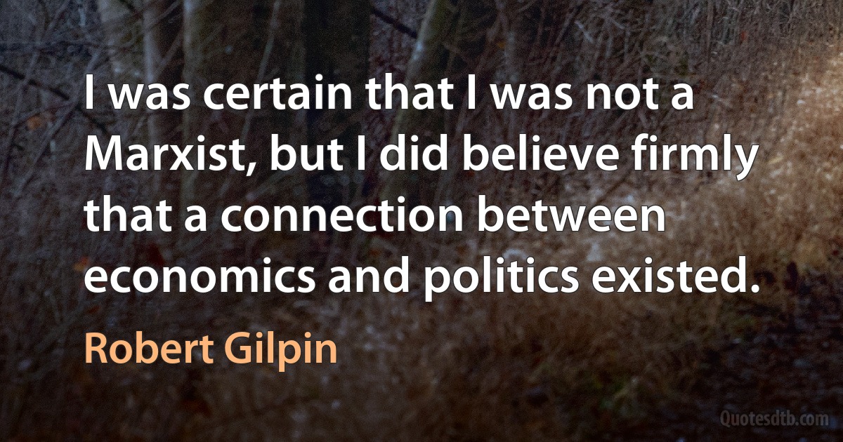 I was certain that I was not a Marxist, but I did believe firmly that a connection between economics and politics existed. (Robert Gilpin)