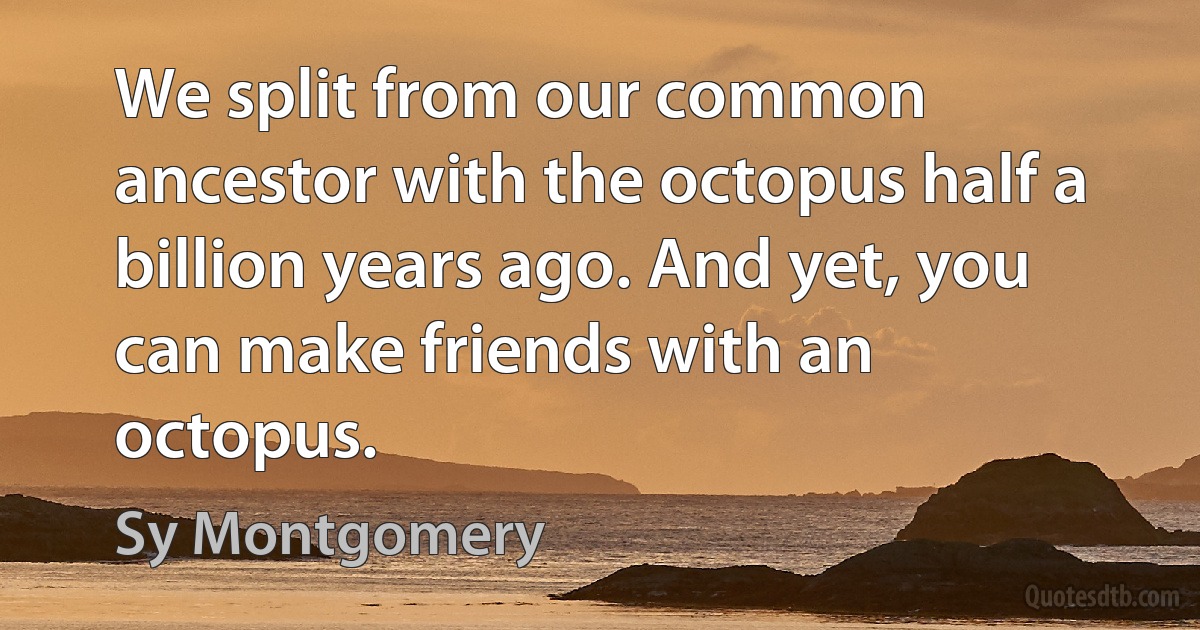 We split from our common ancestor with the octopus half a billion years ago. And yet, you can make friends with an octopus. (Sy Montgomery)