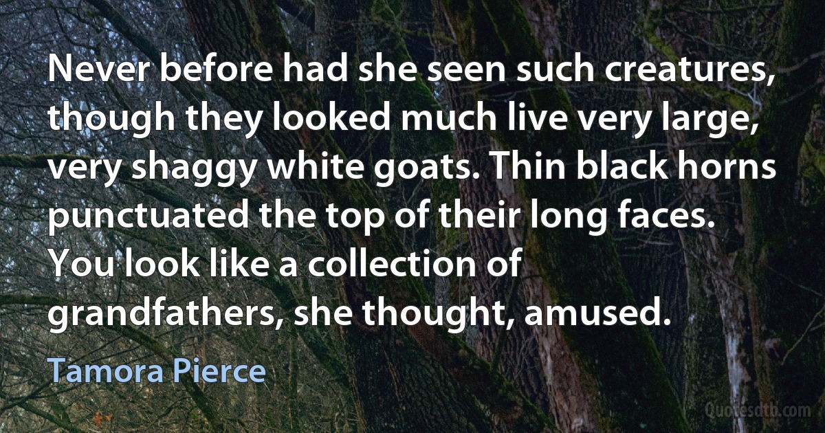 Never before had she seen such creatures, though they looked much live very large, very shaggy white goats. Thin black horns punctuated the top of their long faces. You look like a collection of grandfathers, she thought, amused. (Tamora Pierce)