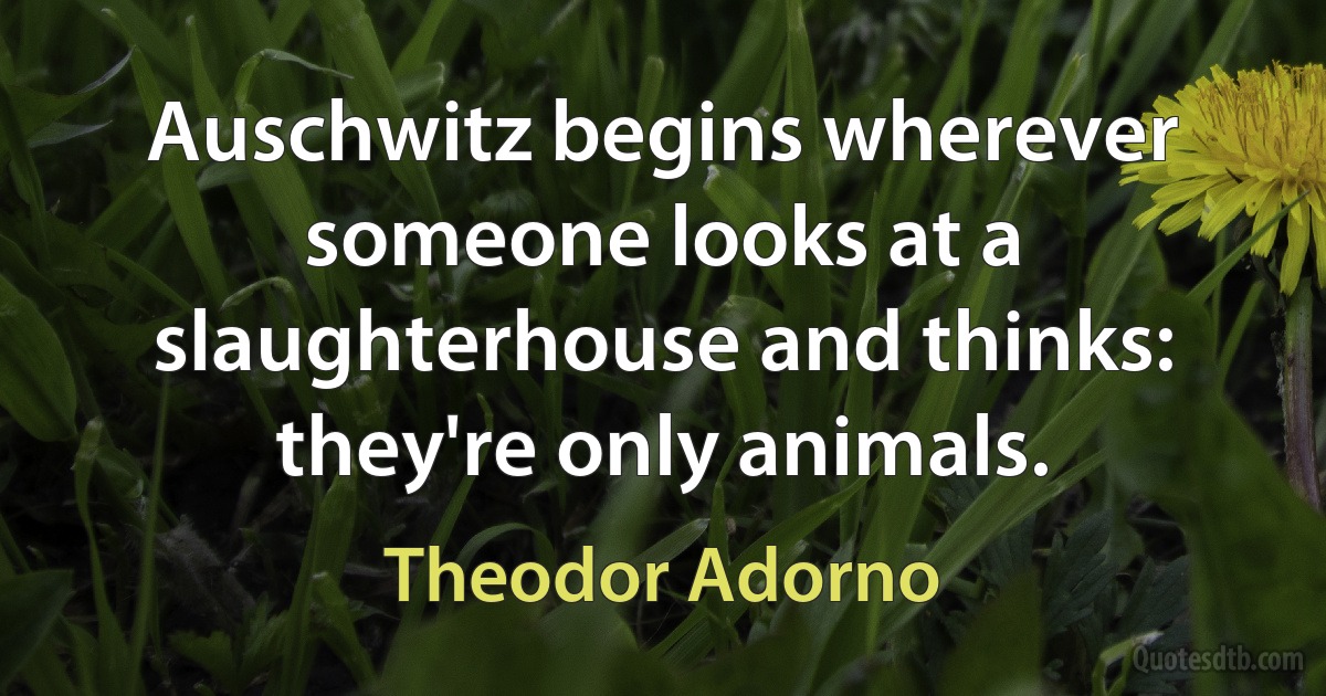 Auschwitz begins wherever someone looks at a slaughterhouse and thinks: they're only animals. (Theodor Adorno)