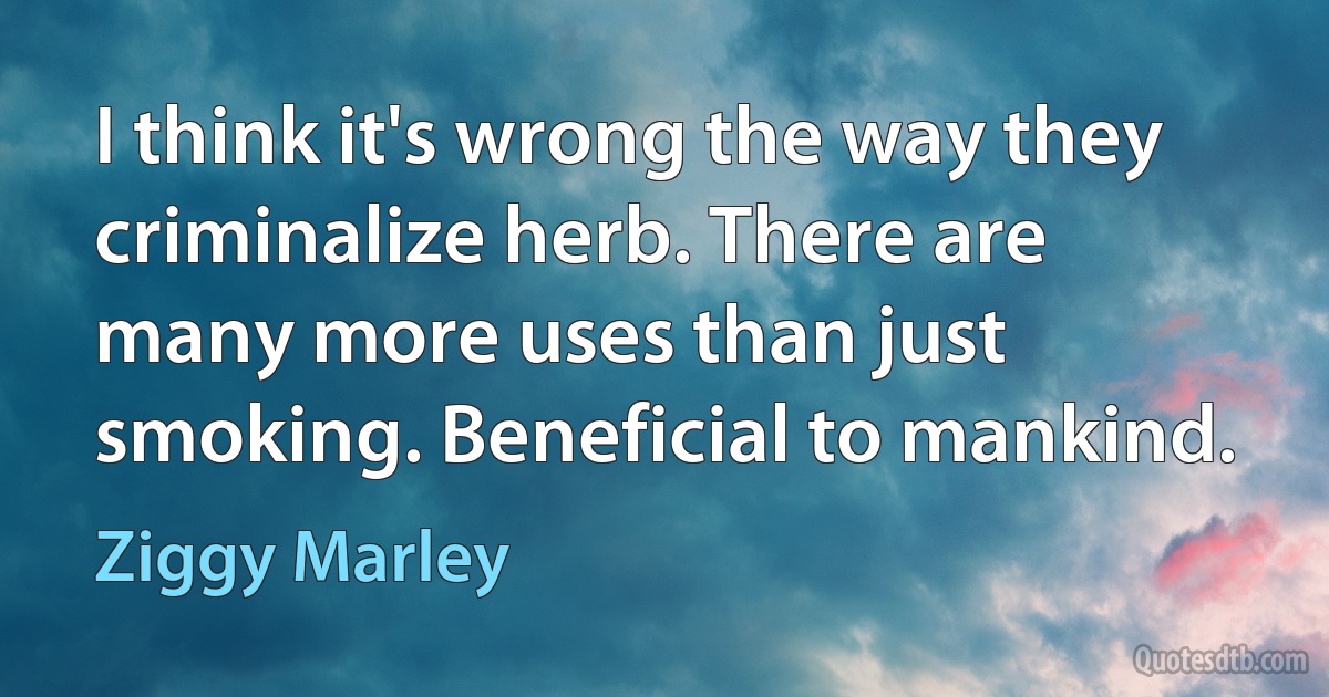 I think it's wrong the way they criminalize herb. There are many more uses than just smoking. Beneficial to mankind. (Ziggy Marley)