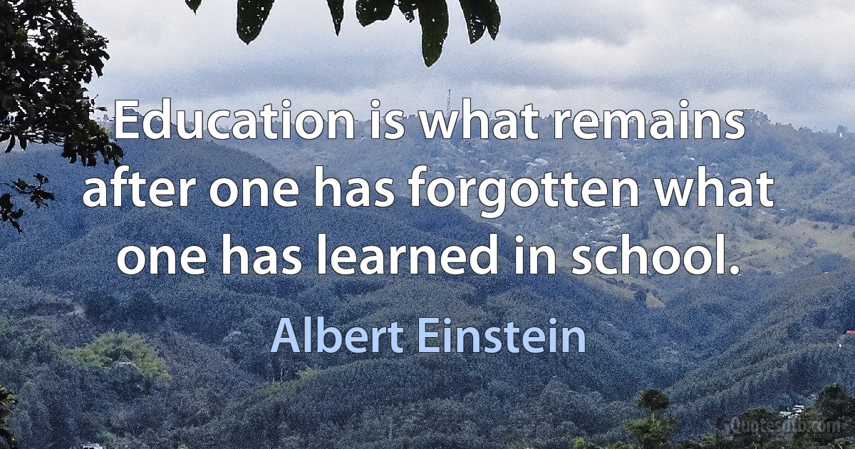 Education is what remains after one has forgotten what one has learned in school. (Albert Einstein)