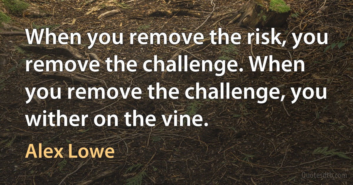 When you remove the risk, you remove the challenge. When you remove the challenge, you wither on the vine. (Alex Lowe)