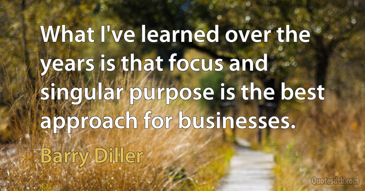 What I've learned over the years is that focus and singular purpose is the best approach for businesses. (Barry Diller)