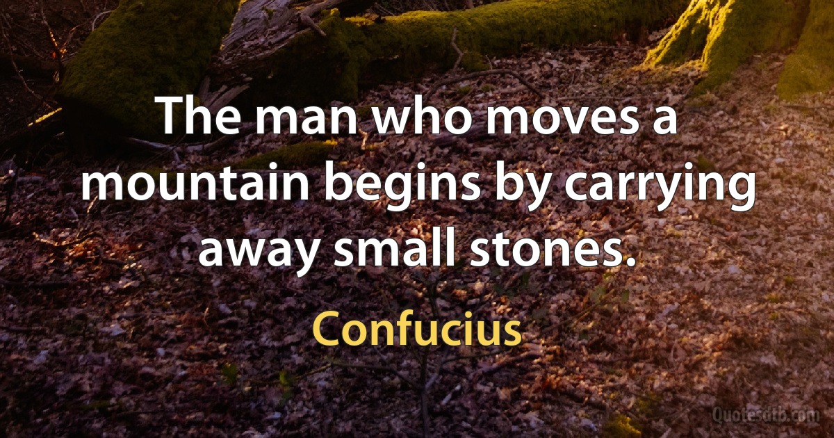 The man who moves a mountain begins by carrying away small stones. (Confucius)