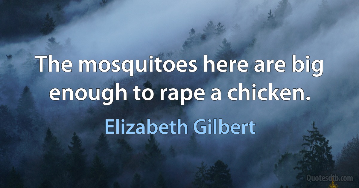 The mosquitoes here are big enough to rape a chicken. (Elizabeth Gilbert)