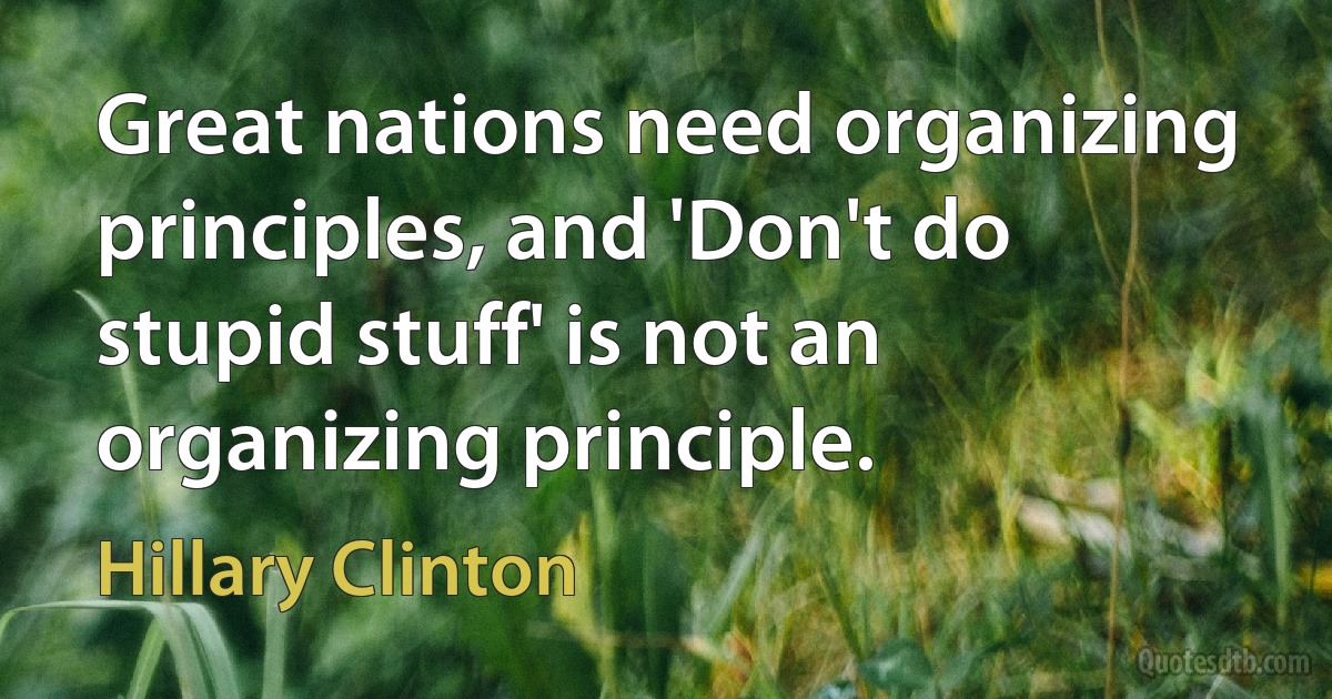 Great nations need organizing principles, and 'Don't do stupid stuff' is not an organizing principle. (Hillary Clinton)