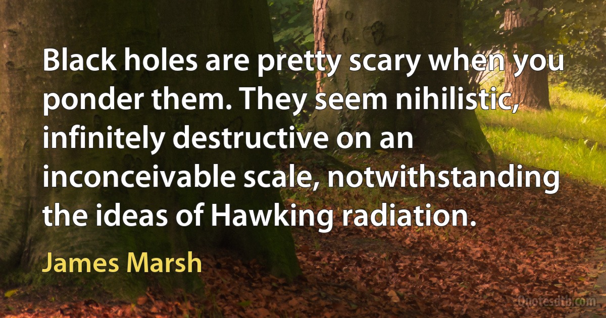 Black holes are pretty scary when you ponder them. They seem nihilistic, infinitely destructive on an inconceivable scale, notwithstanding the ideas of Hawking radiation. (James Marsh)