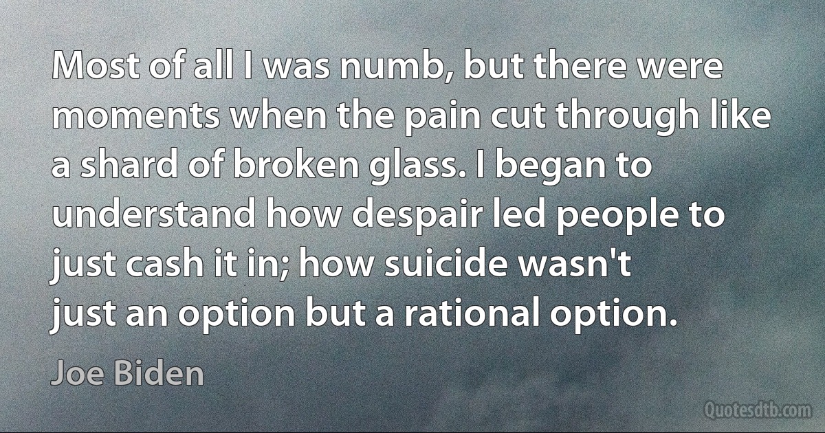 Most of all I was numb, but there were moments when the pain cut through like a shard of broken glass. I began to understand how despair led people to just cash it in; how suicide wasn't just an option but a rational option. (Joe Biden)