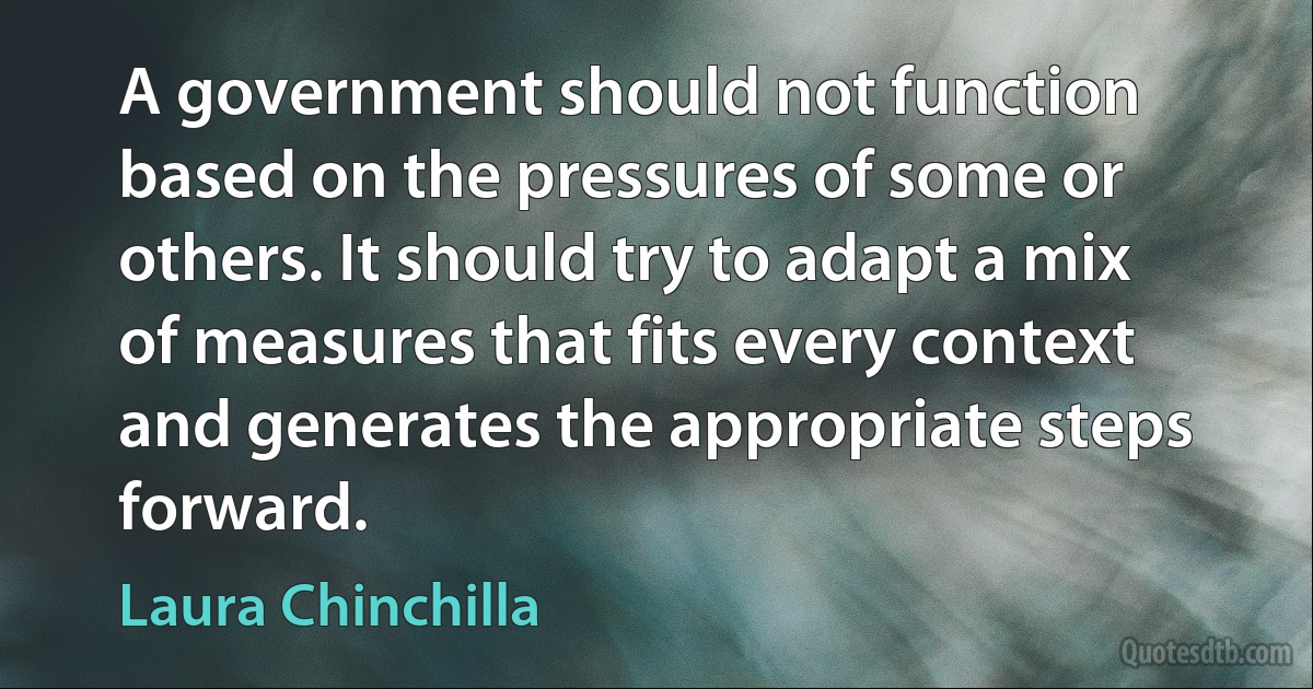 A government should not function based on the pressures of some or others. It should try to adapt a mix of measures that fits every context and generates the appropriate steps forward. (Laura Chinchilla)