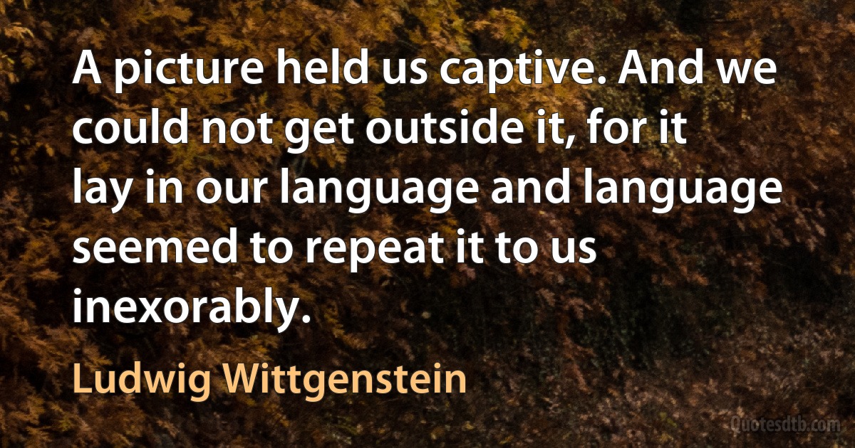 A picture held us captive. And we could not get outside it, for it lay in our language and language seemed to repeat it to us inexorably. (Ludwig Wittgenstein)