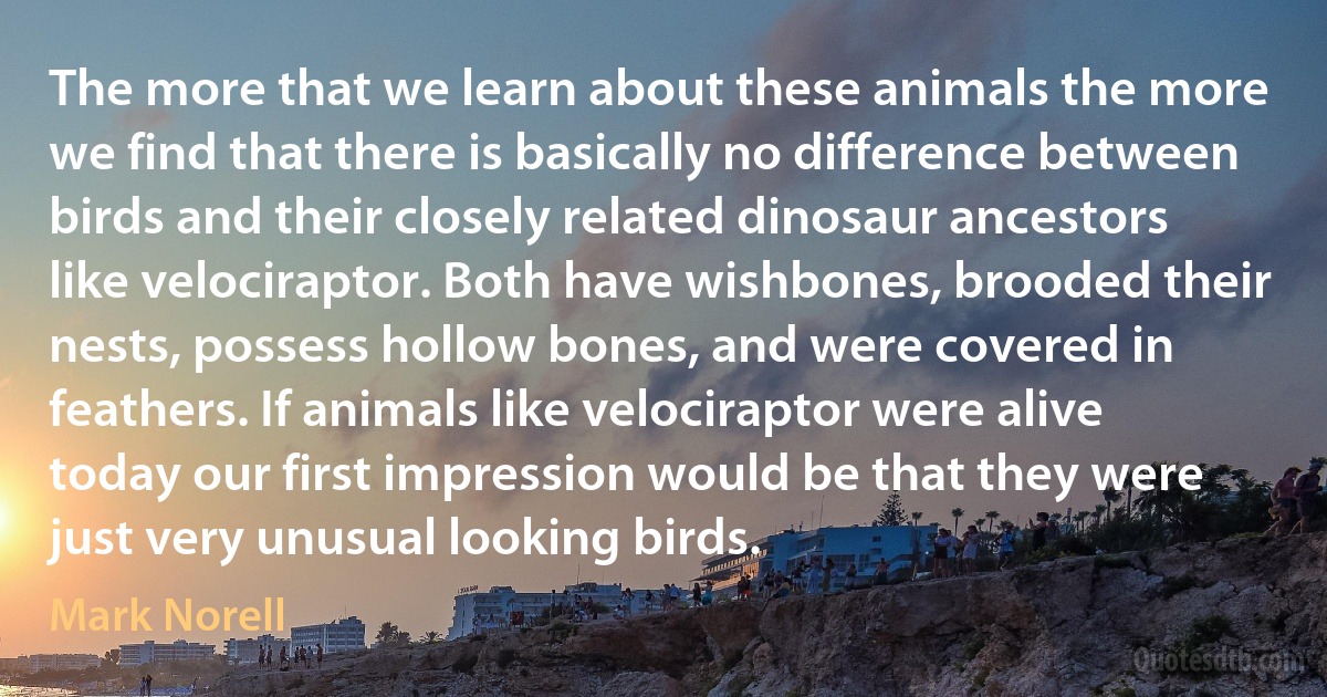 The more that we learn about these animals the more we find that there is basically no difference between birds and their closely related dinosaur ancestors like velociraptor. Both have wishbones, brooded their nests, possess hollow bones, and were covered in feathers. If animals like velociraptor were alive today our first impression would be that they were just very unusual looking birds. (Mark Norell)