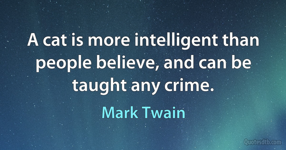 A cat is more intelligent than people believe, and can be taught any crime. (Mark Twain)