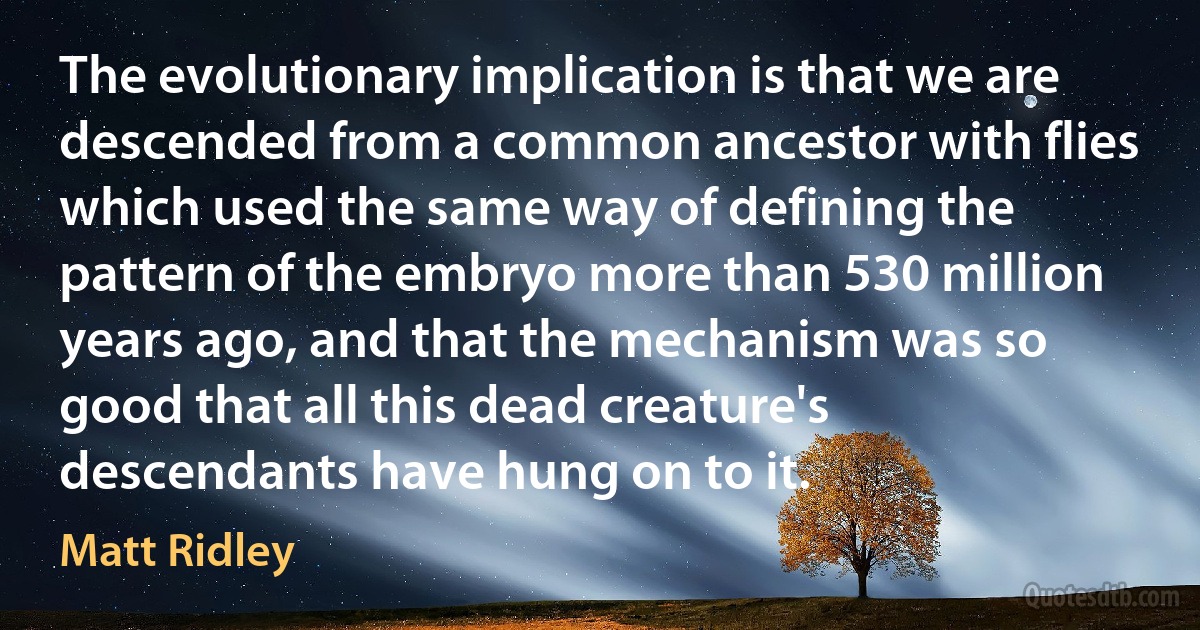 The evolutionary implication is that we are descended from a common ancestor with flies which used the same way of defining the pattern of the embryo more than 530 million years ago, and that the mechanism was so good that all this dead creature's descendants have hung on to it. (Matt Ridley)