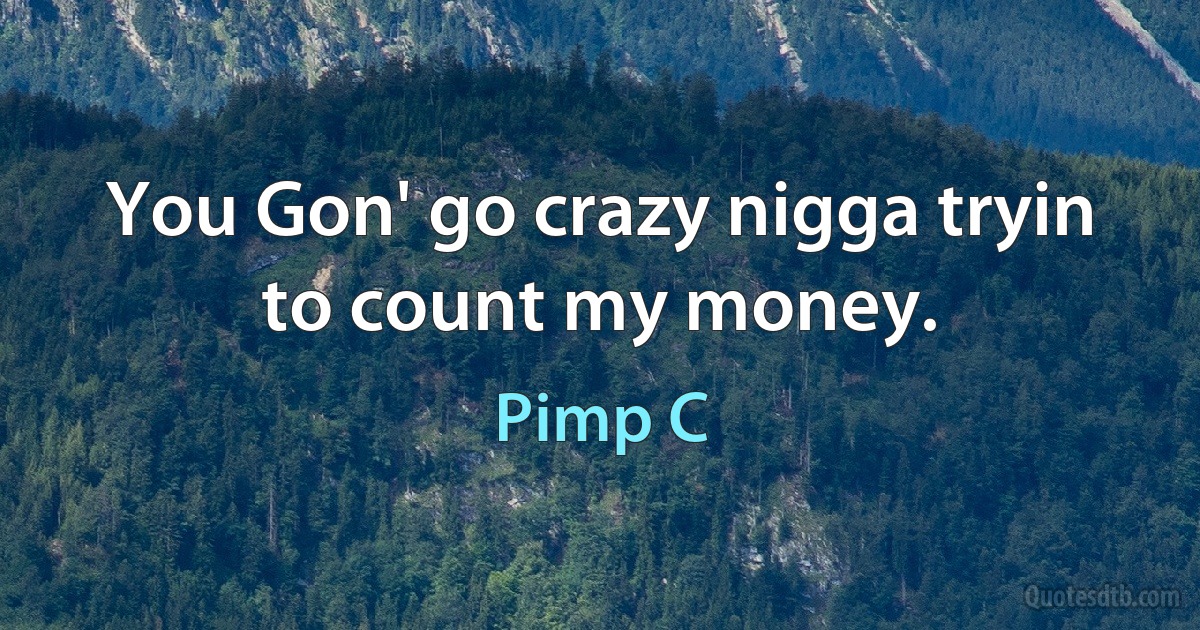 You Gon' go crazy nigga tryin to count my money. (Pimp C)