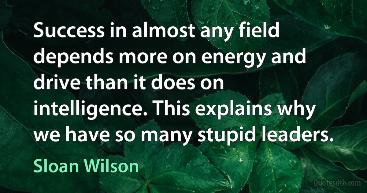 Success in almost any field depends more on energy and drive than it does on intelligence. This explains why we have so many stupid leaders. (Sloan Wilson)