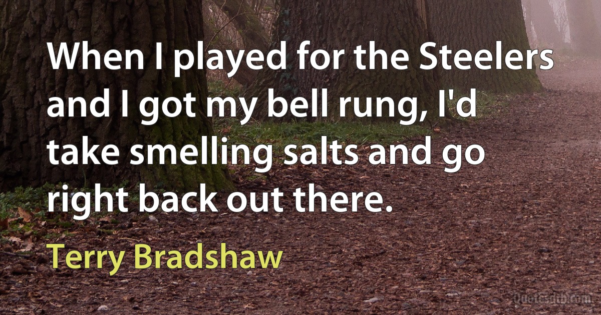 When I played for the Steelers and I got my bell rung, I'd take smelling salts and go right back out there. (Terry Bradshaw)