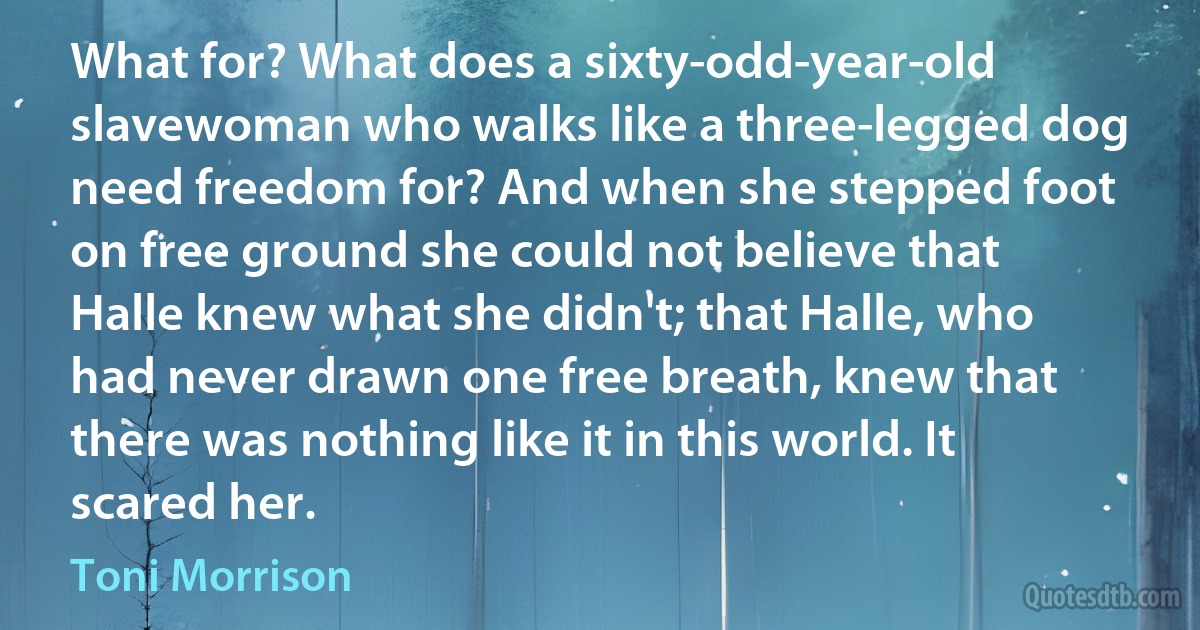 What for? What does a sixty-odd-year-old slavewoman who walks like a three-legged dog need freedom for? And when she stepped foot on free ground she could not believe that Halle knew what she didn't; that Halle, who had never drawn one free breath, knew that there was nothing like it in this world. It scared her. (Toni Morrison)