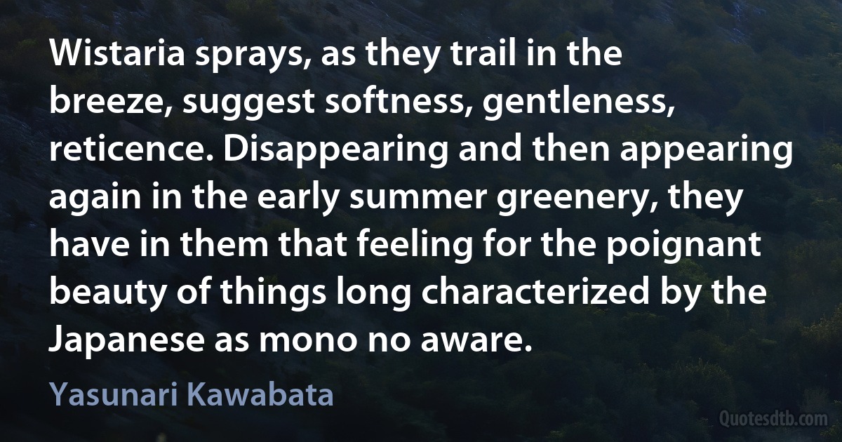 Wistaria sprays, as they trail in the breeze, suggest softness, gentleness, reticence. Disappearing and then appearing again in the early summer greenery, they have in them that feeling for the poignant beauty of things long characterized by the Japanese as mono no aware. (Yasunari Kawabata)