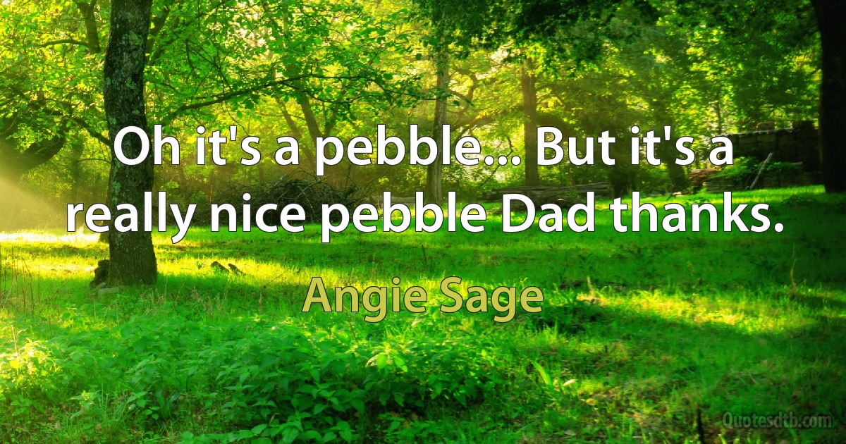 Oh it's a pebble... But it's a really nice pebble Dad thanks. (Angie Sage)