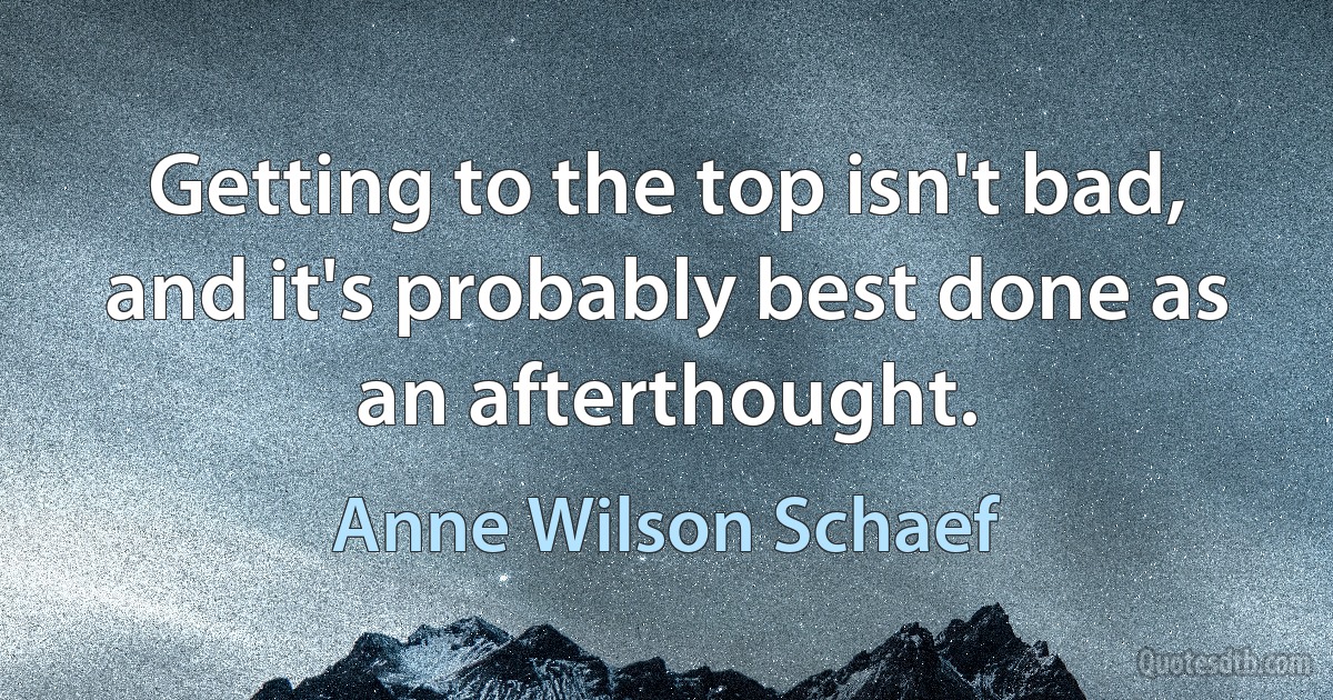 Getting to the top isn't bad, and it's probably best done as an afterthought. (Anne Wilson Schaef)