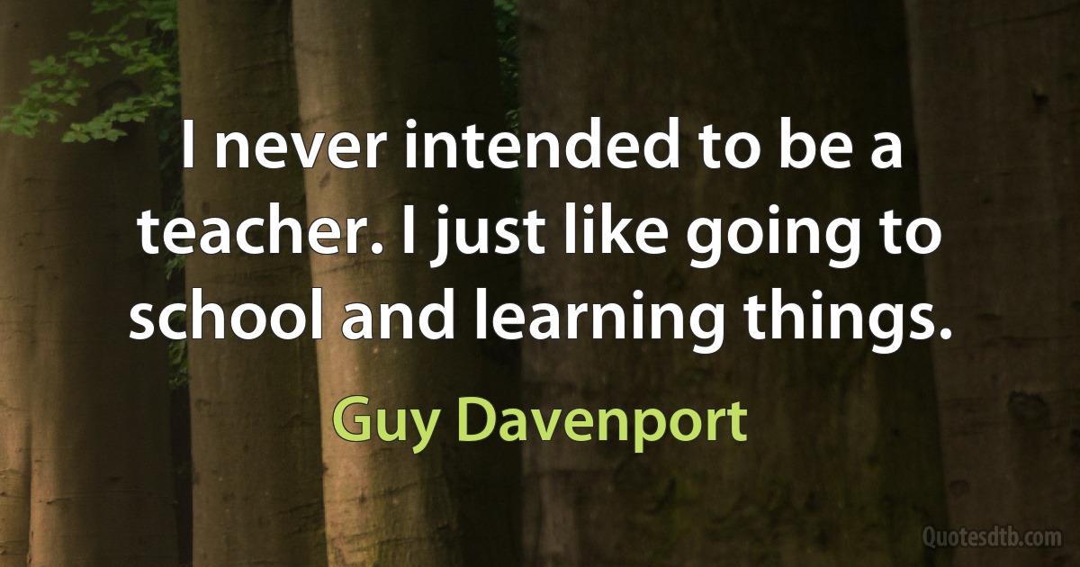 I never intended to be a teacher. I just like going to school and learning things. (Guy Davenport)