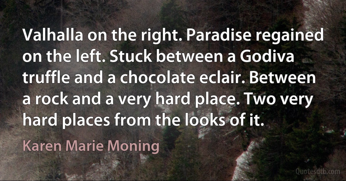 Valhalla on the right. Paradise regained on the left. Stuck between a Godiva truffle and a chocolate eclair. Between a rock and a very hard place. Two very hard places from the looks of it. (Karen Marie Moning)