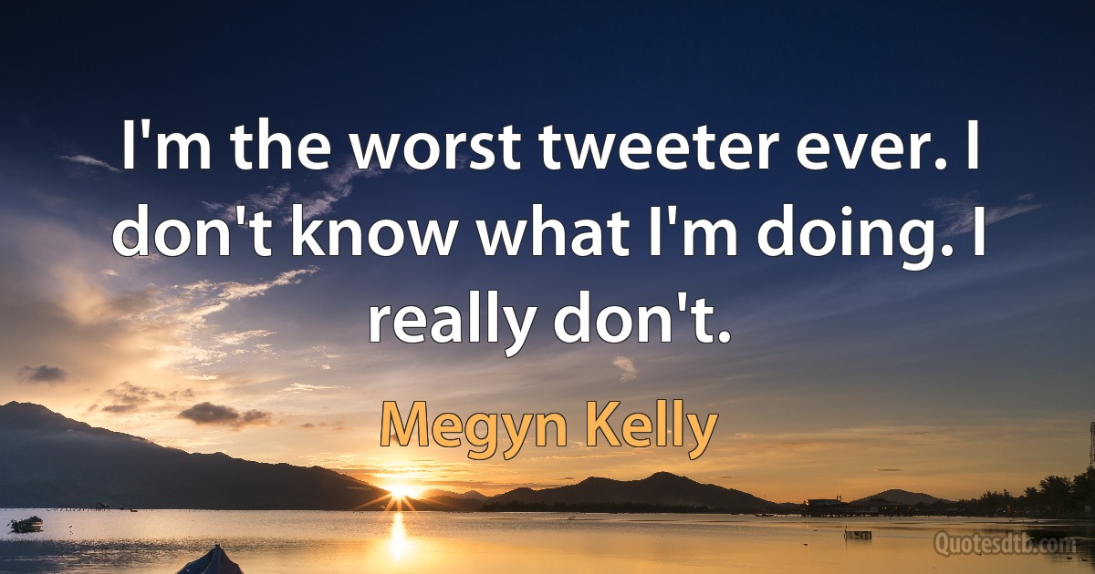 I'm the worst tweeter ever. I don't know what I'm doing. I really don't. (Megyn Kelly)