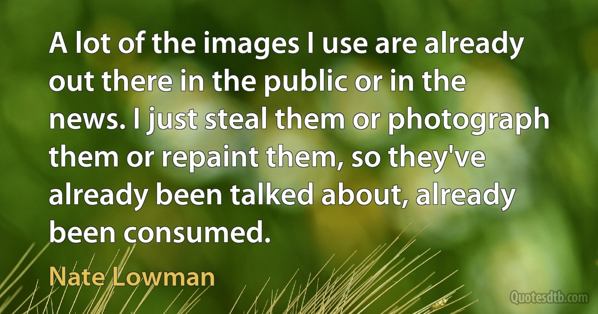 A lot of the images I use are already out there in the public or in the news. I just steal them or photograph them or repaint them, so they've already been talked about, already been consumed. (Nate Lowman)