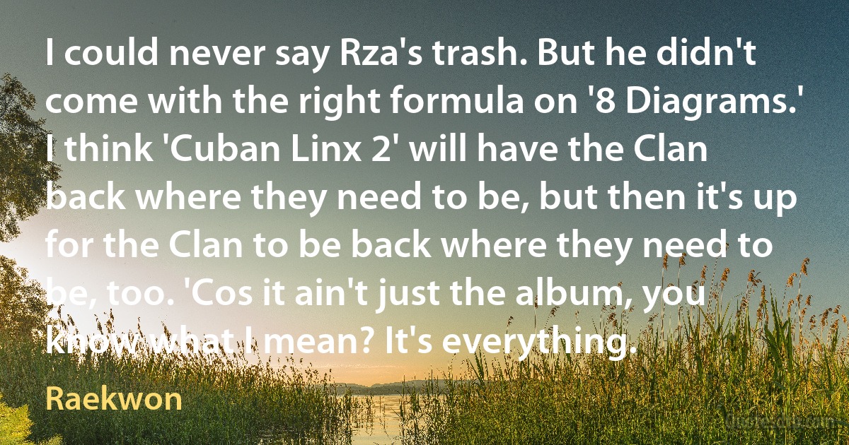 I could never say Rza's trash. But he didn't come with the right formula on '8 Diagrams.' I think 'Cuban Linx 2' will have the Clan back where they need to be, but then it's up for the Clan to be back where they need to be, too. 'Cos it ain't just the album, you know what I mean? It's everything. (Raekwon)