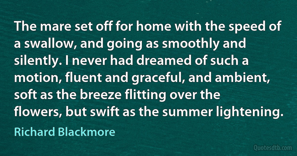 The mare set off for home with the speed of a swallow, and going as smoothly and silently. I never had dreamed of such a motion, fluent and graceful, and ambient, soft as the breeze flitting over the flowers, but swift as the summer lightening. (Richard Blackmore)