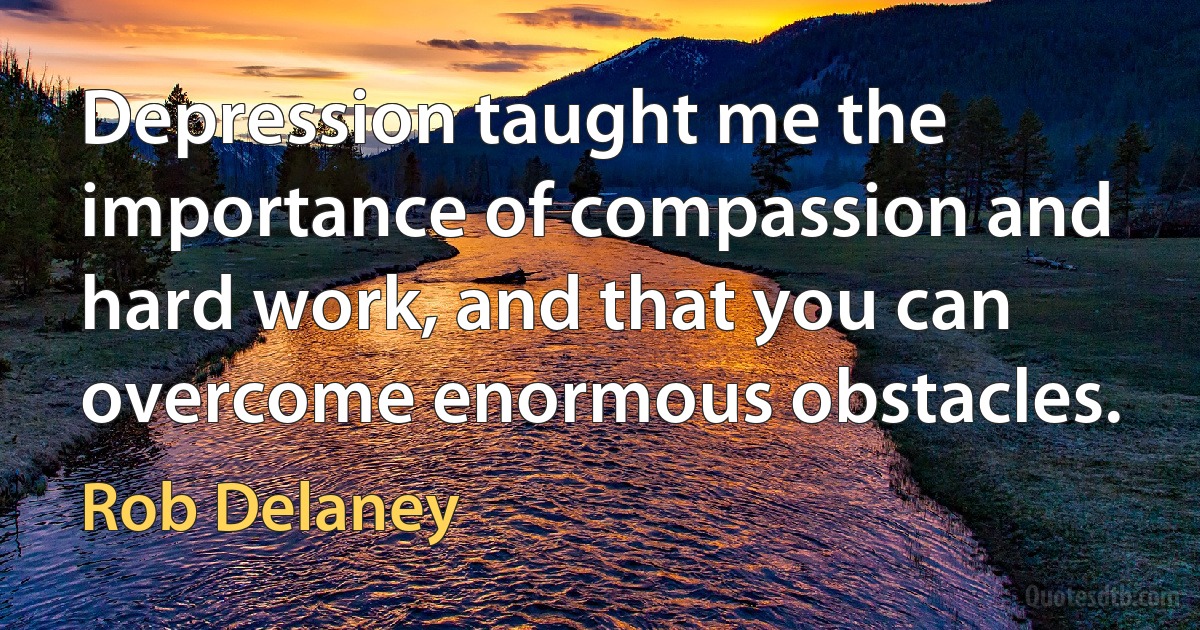 Depression taught me the importance of compassion and hard work, and that you can overcome enormous obstacles. (Rob Delaney)