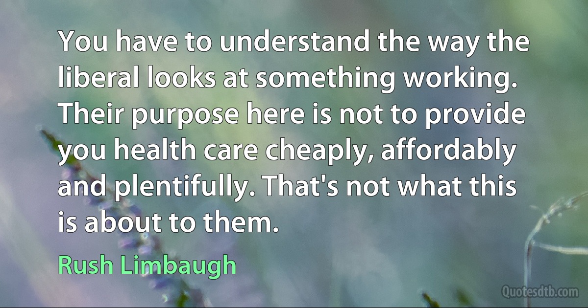 You have to understand the way the liberal looks at something working. Their purpose here is not to provide you health care cheaply, affordably and plentifully. That's not what this is about to them. (Rush Limbaugh)