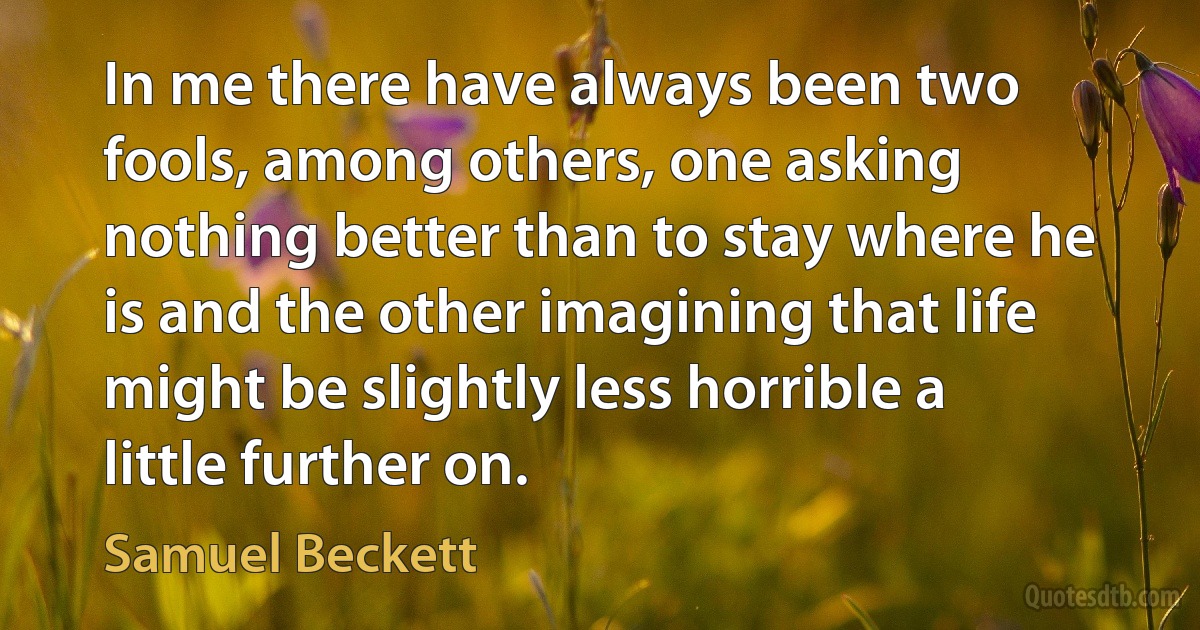 In me there have always been two fools, among others, one asking nothing better than to stay where he is and the other imagining that life might be slightly less horrible a little further on. (Samuel Beckett)