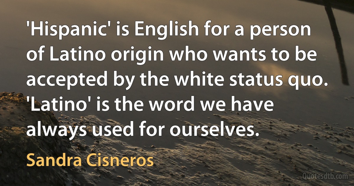 'Hispanic' is English for a person of Latino origin who wants to be accepted by the white status quo. 'Latino' is the word we have always used for ourselves. (Sandra Cisneros)