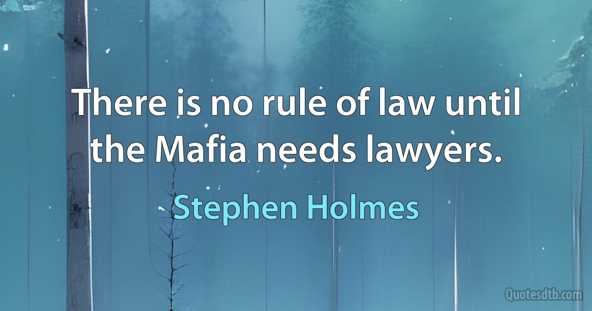 There is no rule of law until the Mafia needs lawyers. (Stephen Holmes)