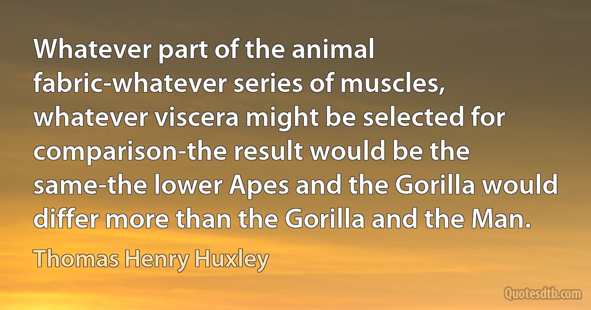 Whatever part of the animal fabric-whatever series of muscles, whatever viscera might be selected for comparison-the result would be the same-the lower Apes and the Gorilla would differ more than the Gorilla and the Man. (Thomas Henry Huxley)