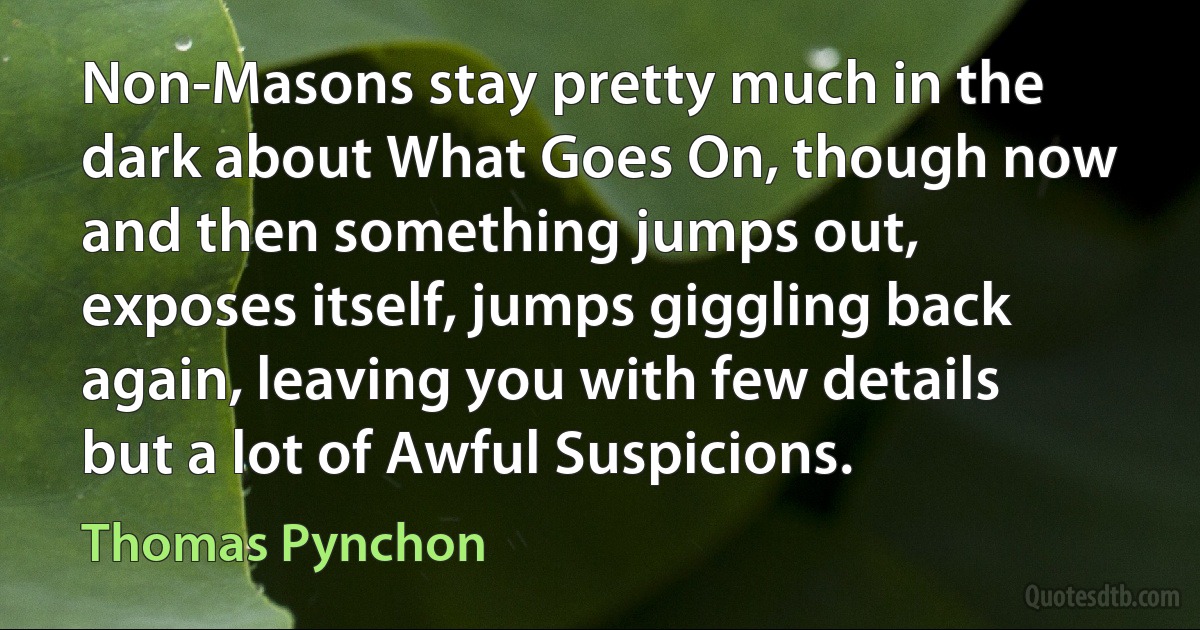 Non-Masons stay pretty much in the dark about What Goes On, though now and then something jumps out, exposes itself, jumps giggling back again, leaving you with few details but a lot of Awful Suspicions. (Thomas Pynchon)