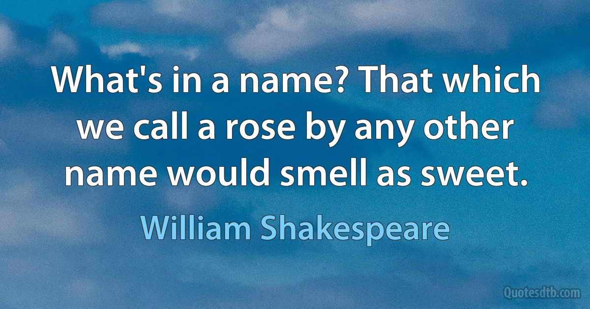 What's in a name? That which we call a rose by any other name would smell as sweet. (William Shakespeare)