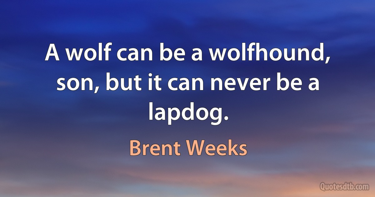 A wolf can be a wolfhound, son, but it can never be a lapdog. (Brent Weeks)