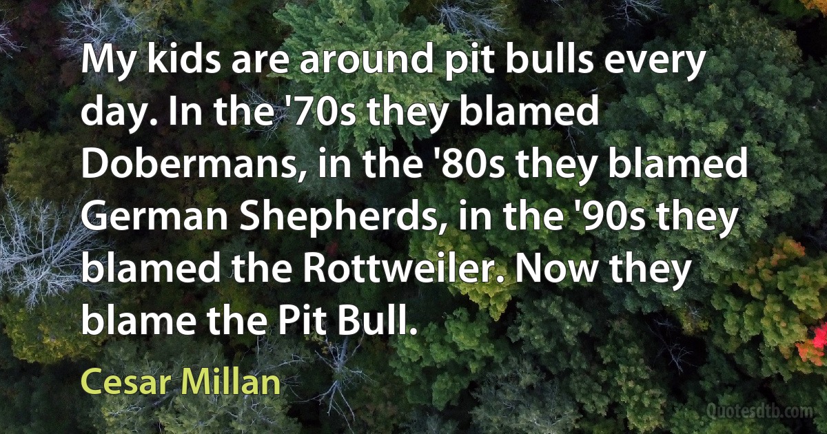 My kids are around pit bulls every day. In the '70s they blamed Dobermans, in the '80s they blamed German Shepherds, in the '90s they blamed the Rottweiler. Now they blame the Pit Bull. (Cesar Millan)