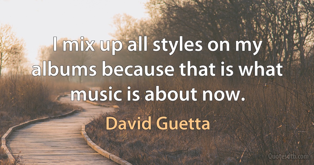 I mix up all styles on my albums because that is what music is about now. (David Guetta)