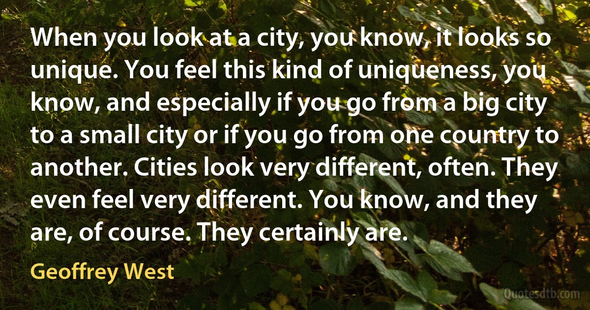 When you look at a city, you know, it looks so unique. You feel this kind of uniqueness, you know, and especially if you go from a big city to a small city or if you go from one country to another. Cities look very different, often. They even feel very different. You know, and they are, of course. They certainly are. (Geoffrey West)