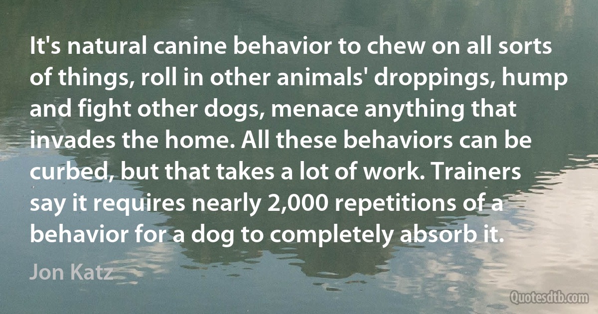 It's natural canine behavior to chew on all sorts of things, roll in other animals' droppings, hump and fight other dogs, menace anything that invades the home. All these behaviors can be curbed, but that takes a lot of work. Trainers say it requires nearly 2,000 repetitions of a behavior for a dog to completely absorb it. (Jon Katz)