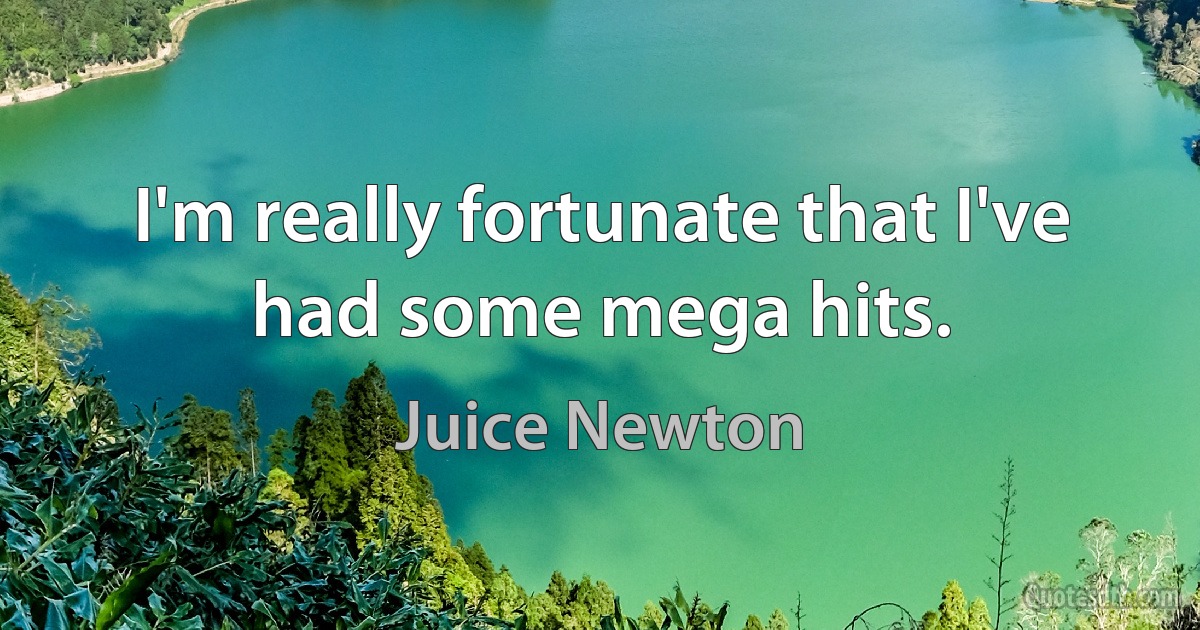 I'm really fortunate that I've had some mega hits. (Juice Newton)